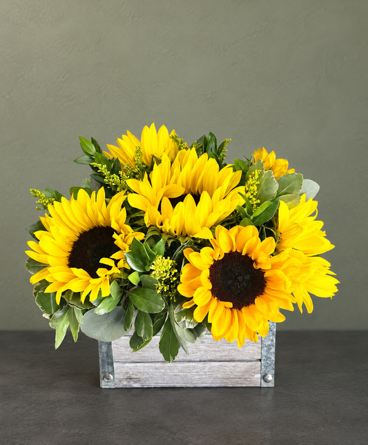 You Are My Sunshine